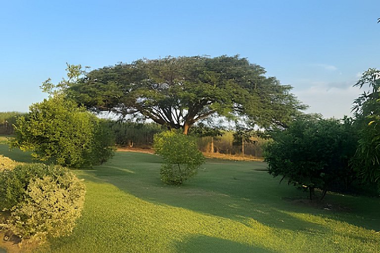 Recanto Vó Neide - Chacará